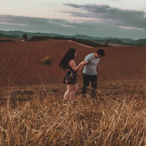 Wheat Field